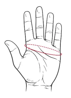 A hand, with the width measured around the palm just below the fingers